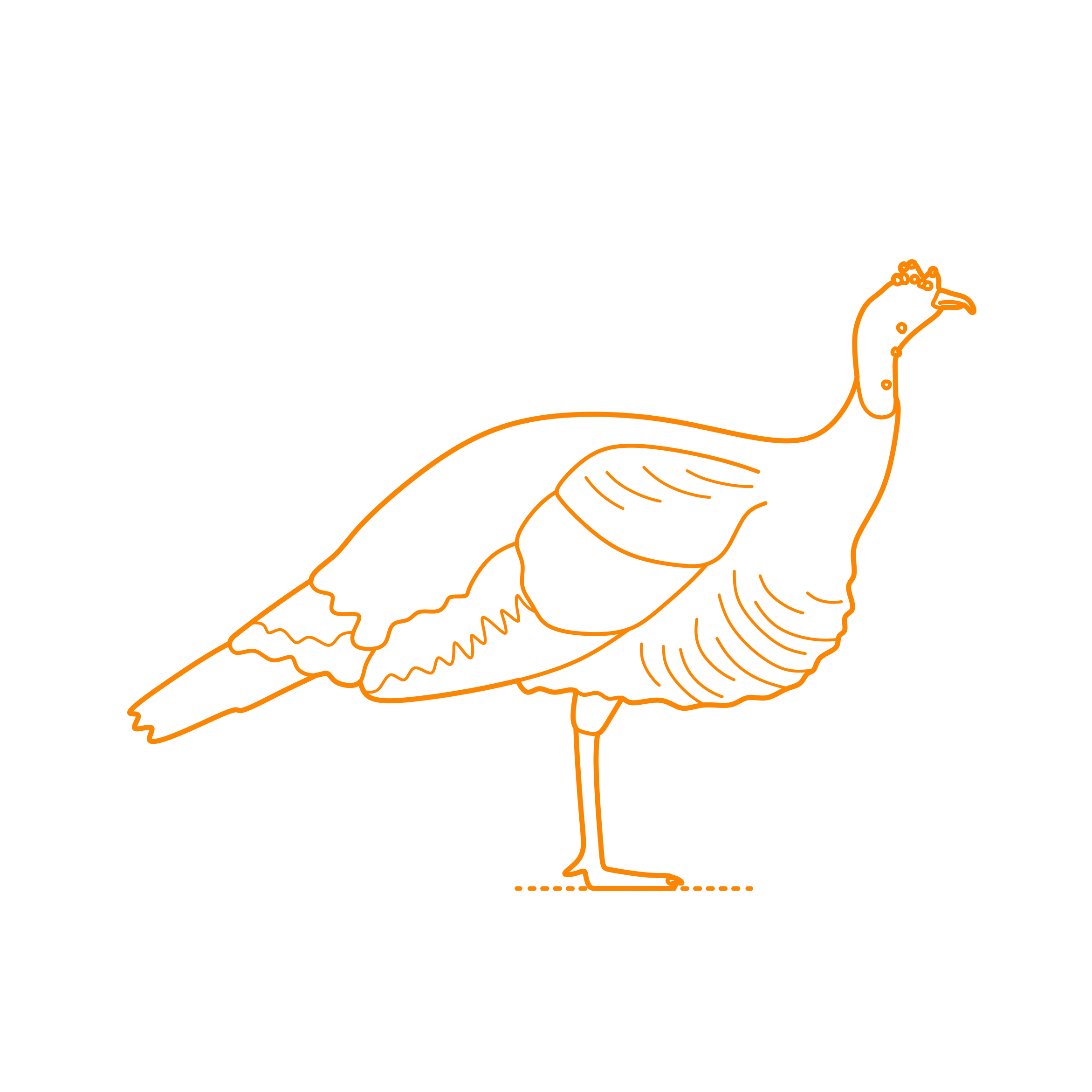 Animals Gamefowl Ocellated Turkey Sticker Svg Vector Free Vectors
